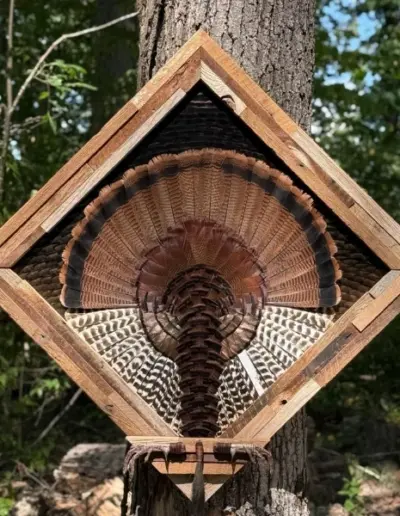 Feather Art